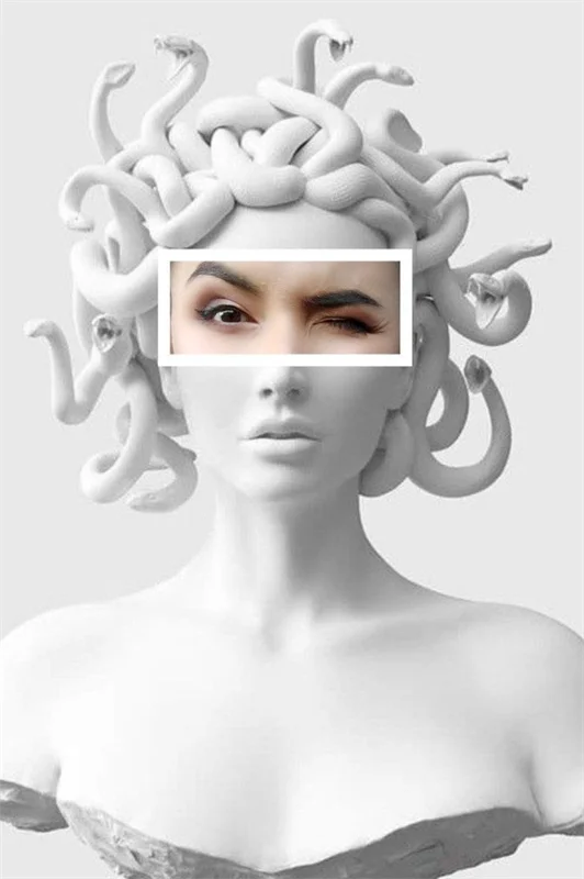 Canvas Medusa